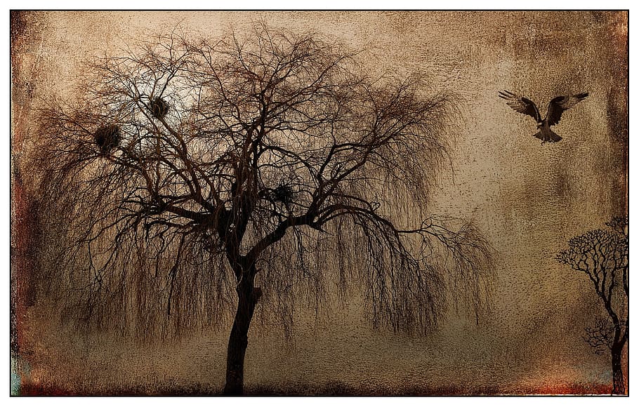 grunge, tree, painting, art, sketch, sketching, auto post production filter, plant, bare tree, transfer print