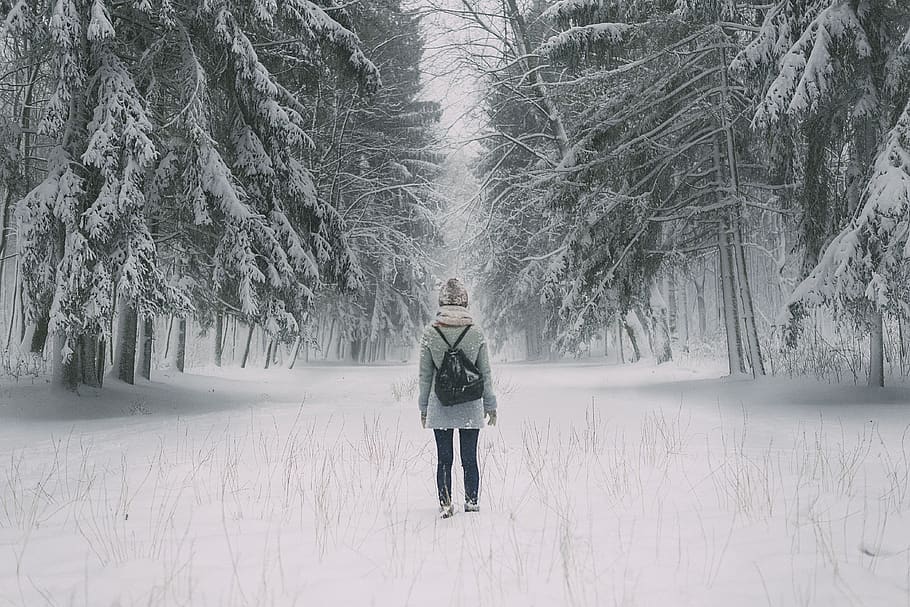 snow, first snow, winter, forest, cold temperature, tree, plant, one person, standing, warm clothing