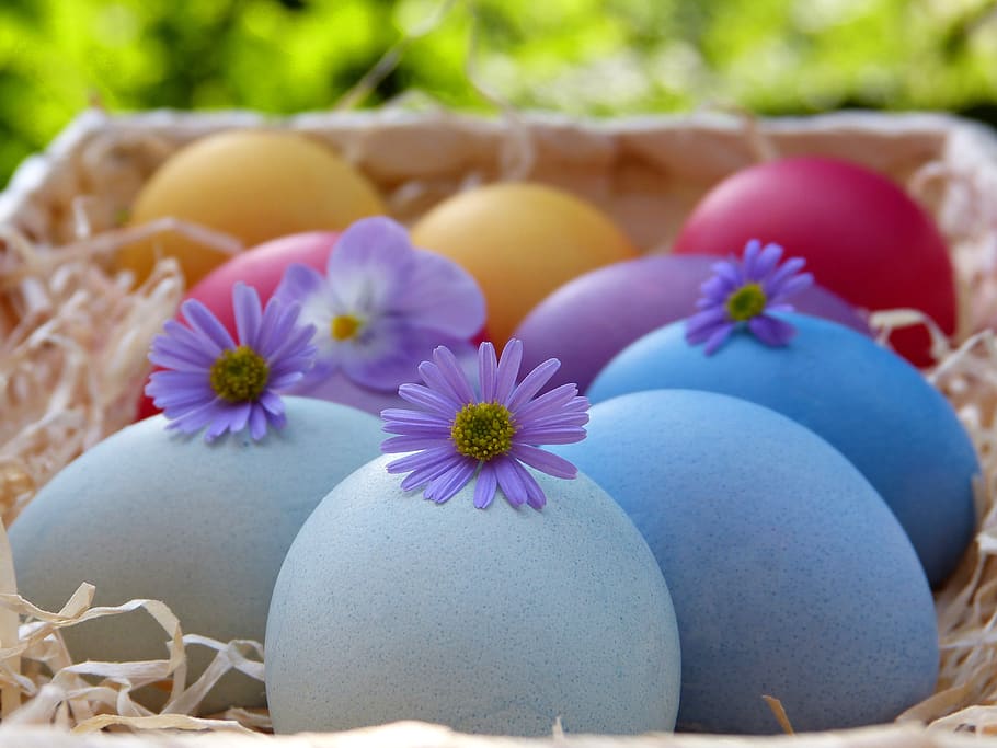 easter eggs, basket, colorful, osterkorb, easter, colored, easter nest, customs, colors of nature, bio