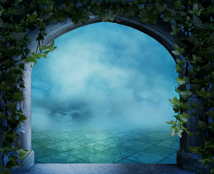 fantasy, background image, arch, climber plant, gothic, fog, mystical, empty, template, fairytale
