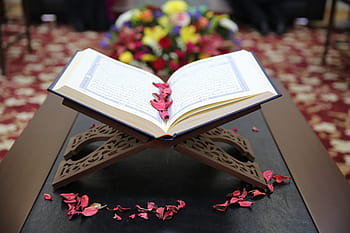 Royalty Free Quran Photos Free Download Pxfuel