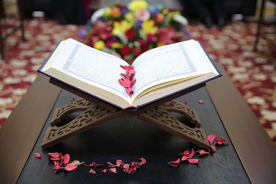 Corán, fe, islámico, musulmán, religión, islam, publicación, libro, flor, planta floreciendo