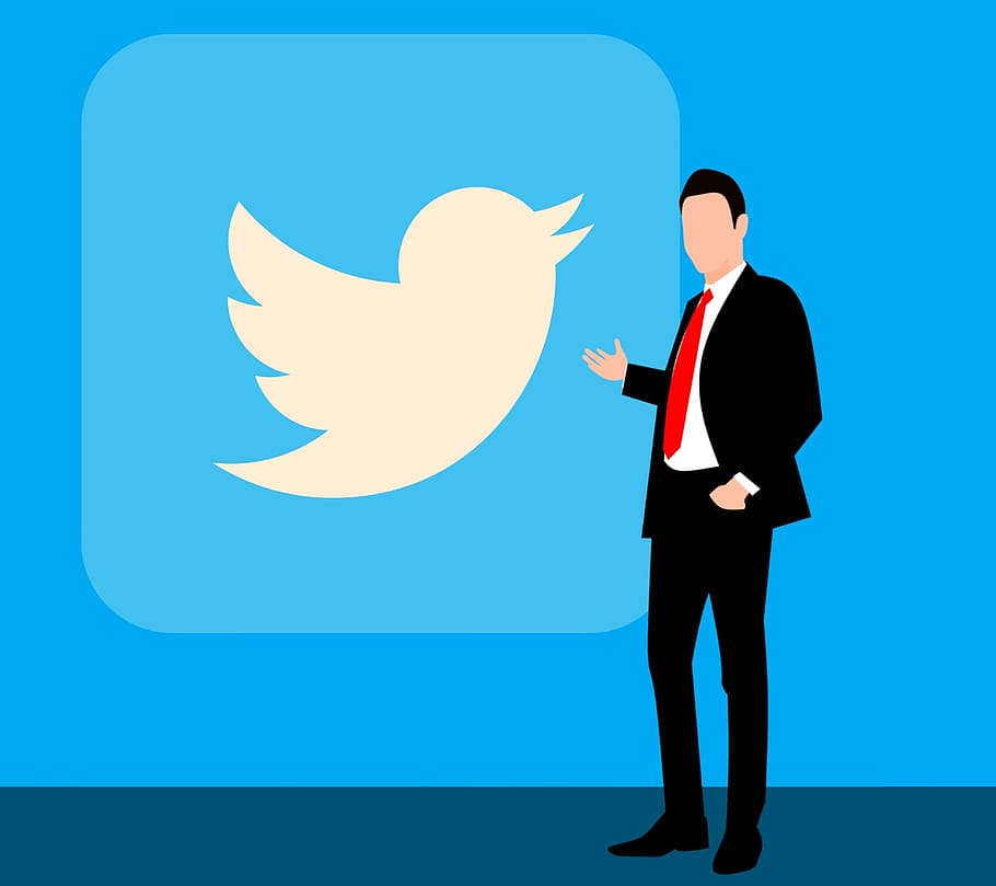 twitter, social, medios, logotipo de twitter, pájaros de twitter, icono de twitter, iconos de medios, linkedin, negocios, traje