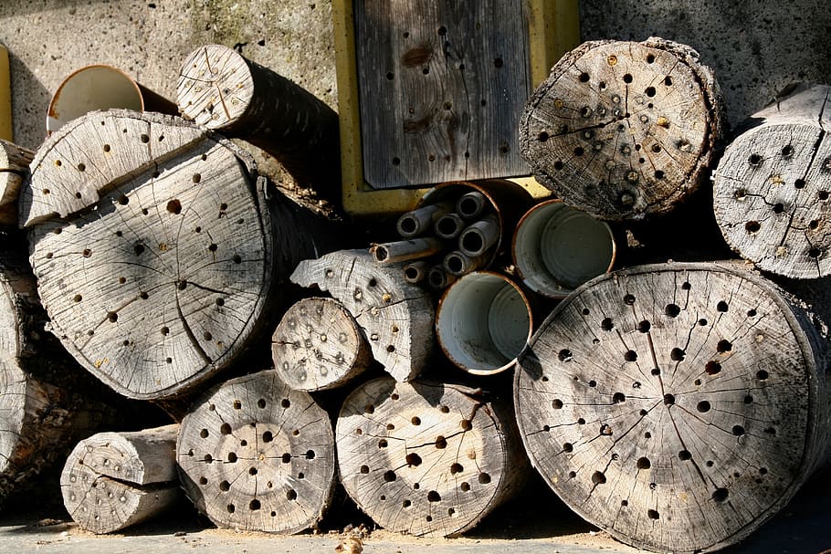 bee hotel, insect, bees, insect house, insect box, wood, insect hotel, large group of objects, wood - material, still life