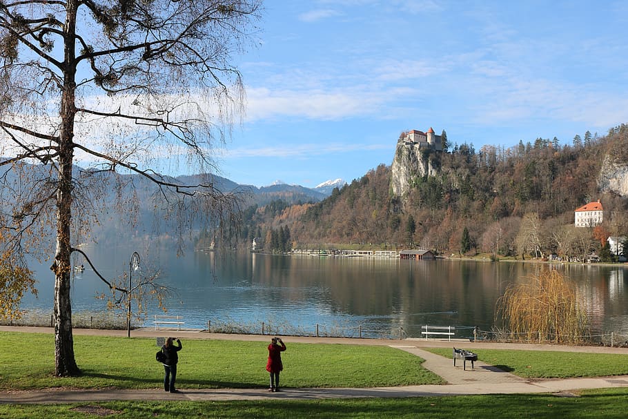 bled, slovenia, lake, church, water, castle, travel, nature, landscape, outdoors