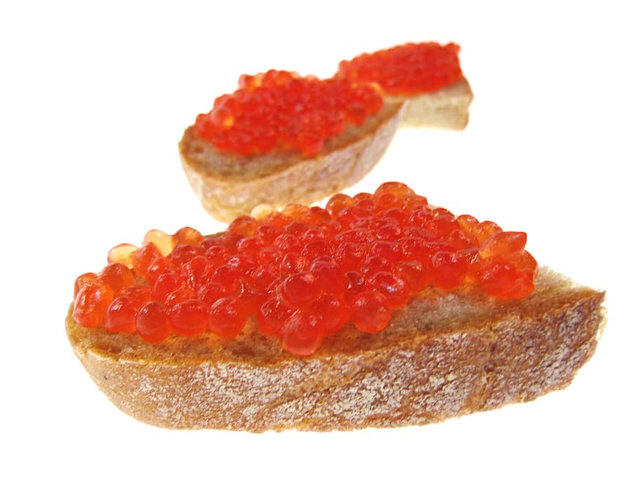 red, caviar, bread, salmon, isolated, expensive, butter, delicious, white, snack