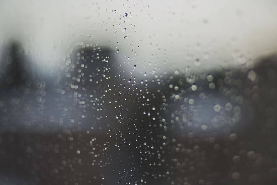 rainy, day, rain, drops, droplets, nature, drop, water, wet, window