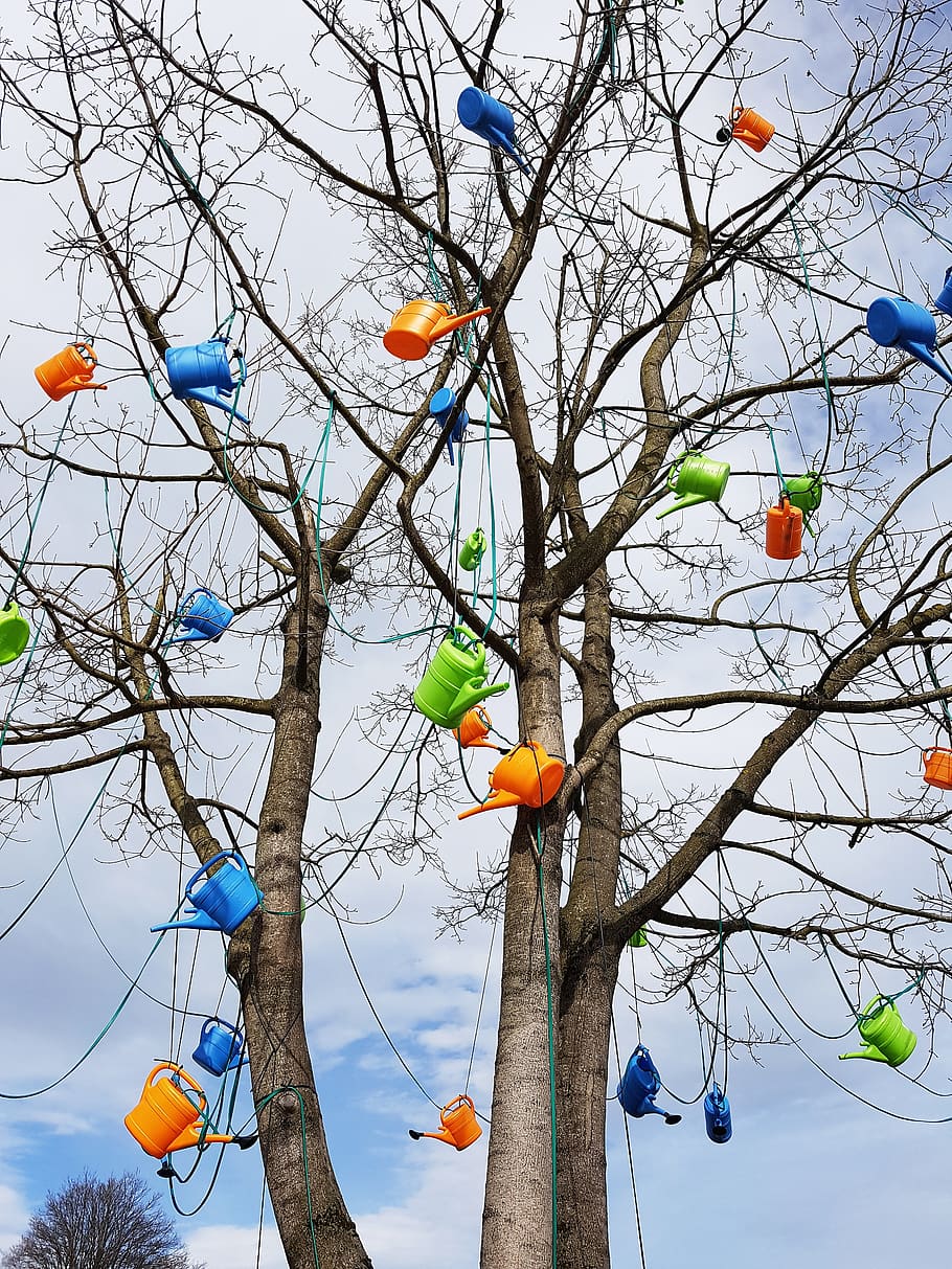 watering cans, advertising, lined up, plastic, goods, colorful, green, blue, orange, tree