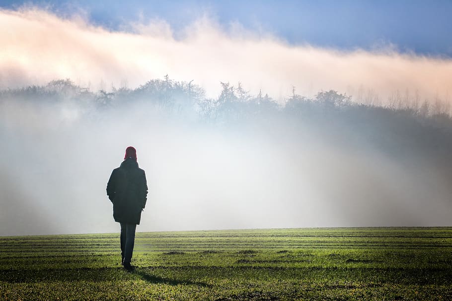 fog, dawn, landscape, sunrise, nature, blue, green, person, wanderer, woman