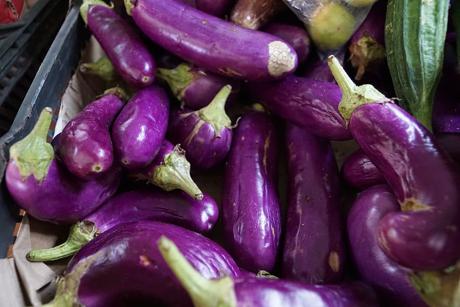 blue, vegetables, eggplant, garden, food and drink, vegetable, food, freshness, wellbeing, purple