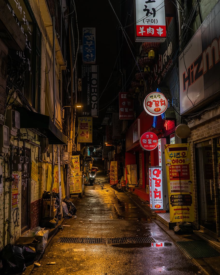 rua, coréia, seul, noite, néon, cidade, luz, comunicação, arquitetura, texto