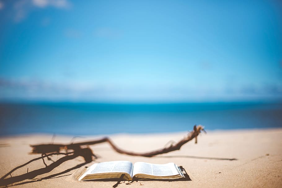 sea, water, ocean, blue, sky, nature, beach, sand, wood, book