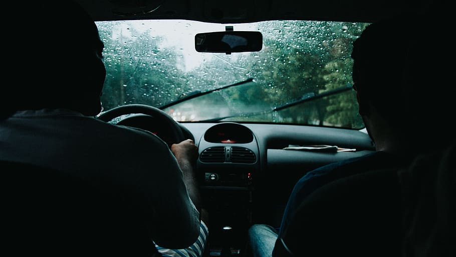 conducción, coche, lluvia, sombra, silueta, mojado, limpiaparabrisas, bosque, árbol, verde