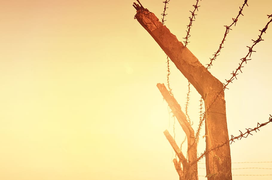 fence, concepts, construction, ideas, sky, metal, nature, rusty, wood - material, barbed wire