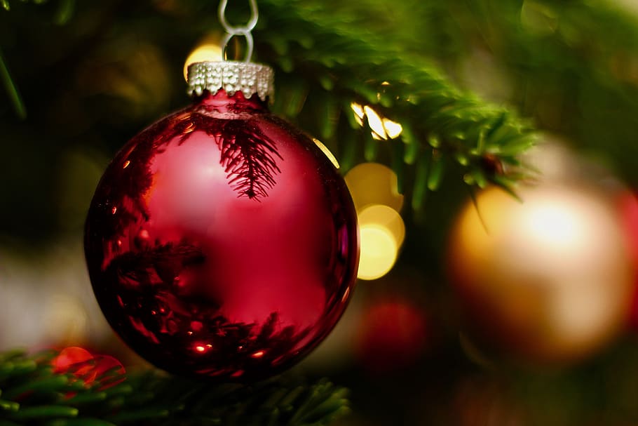 christmas, winter, shiny, ball, ornament, fir tree, tree, celebration, cheerful, golden