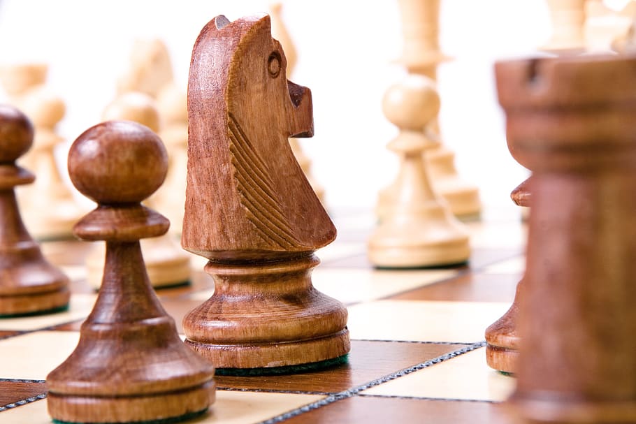 xadrez, tabuleiro, marrom, isolado, branco, negócios, desafio, tabuleiro de xadrez, inteligente, competição