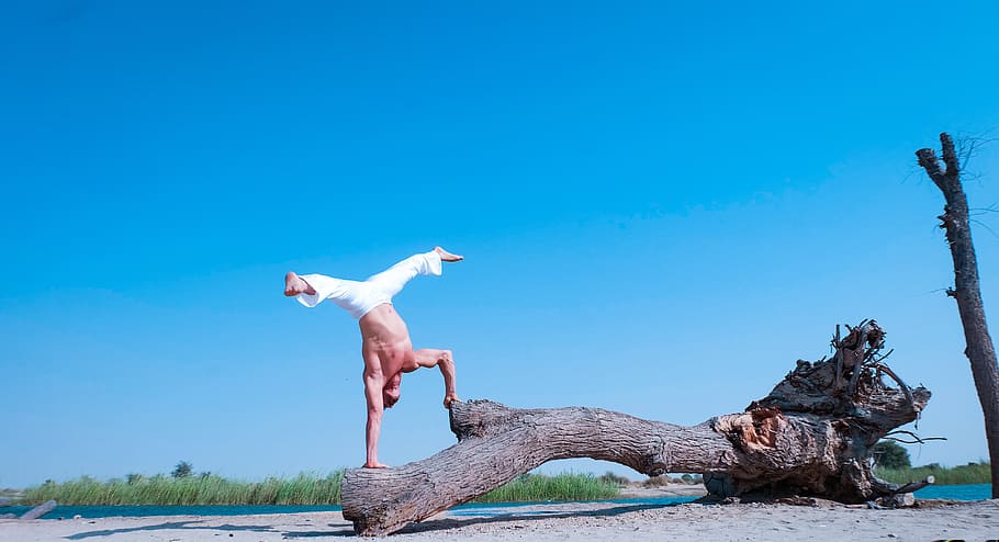 acrobática, ioga, praia, árvore, natureza, esporte, branco, homem, masculino, céu azul