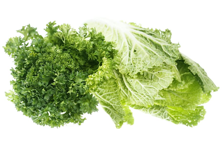 closeup, cucumber, diet, eat, food, fresh, green, health, healthy, herbs