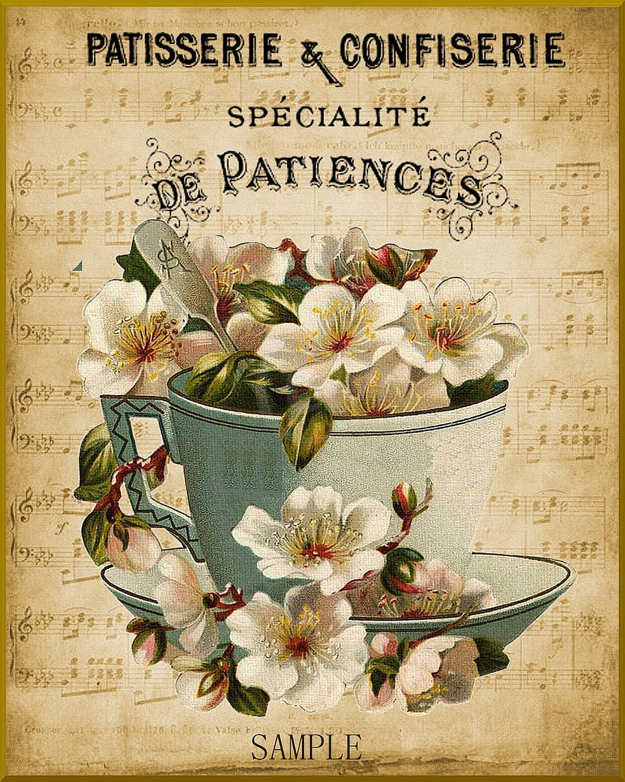 paris, card, flower, texture, blooming, contact, text, plant, communication, flowering plant