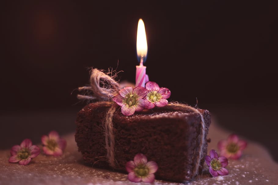 brownie, bolo, cartão de felicitações, bolos, vela de aniversário, flores, bolo de aniversário, férias, cartão postal, bolo de chocolate