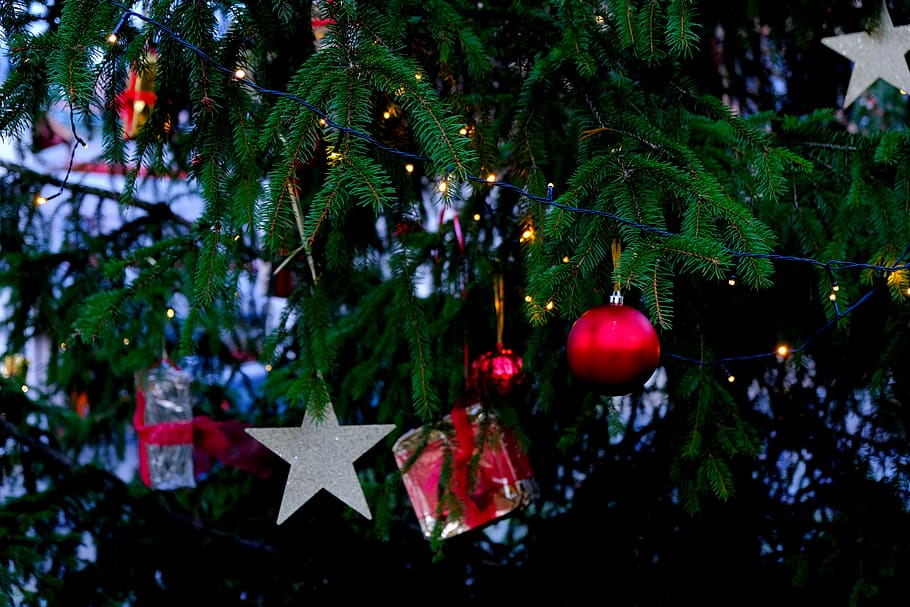 decoraciones para árboles, decoración, adviento, tiempo de navidad, abeto, atmósfera, vacaciones, festival, público, regalos