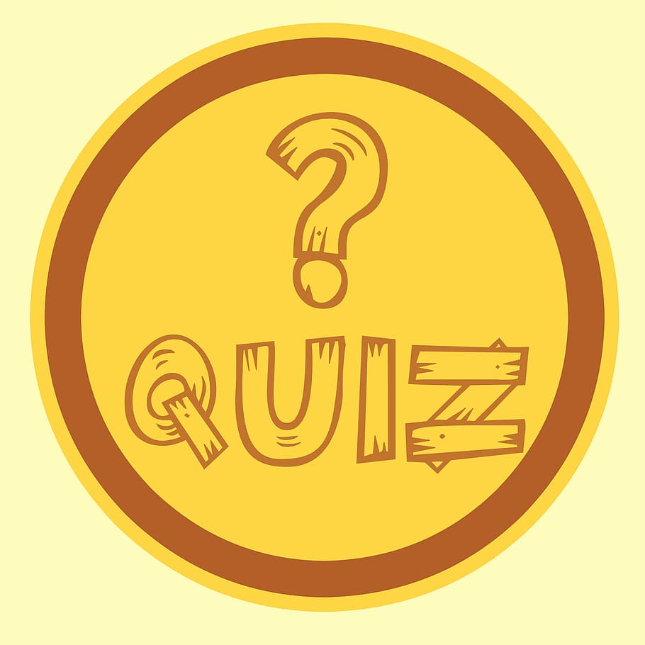quiz icon, rustic, type., quiz, exam, icon, button, test, examination, logo