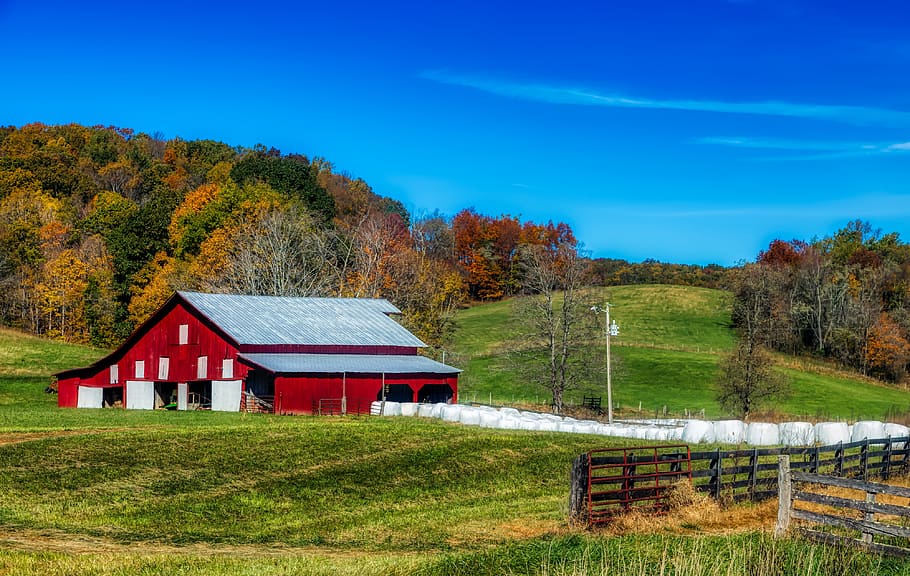west virginia, america, autumn, fall, hills, barn, field, meadow, pastoral, landscape