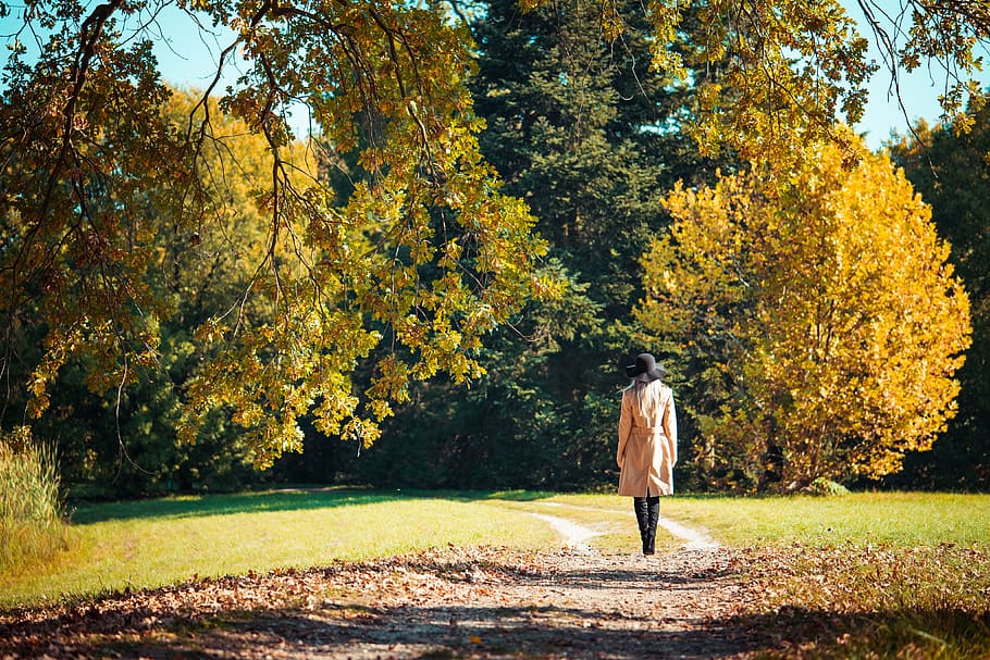 wanita, berjalan, taman, musim gugur, sendirian, mantel, mode, hutan, topi, daun