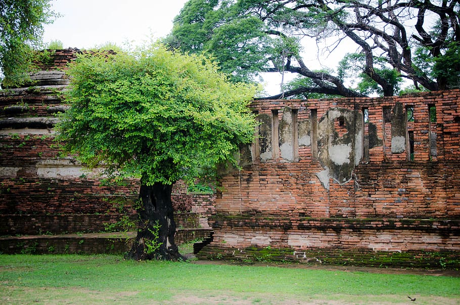 pared del templo, Tailandia, pared, textura, hormigón, patrón, antiguo, fondo, piedra, telón de fondo