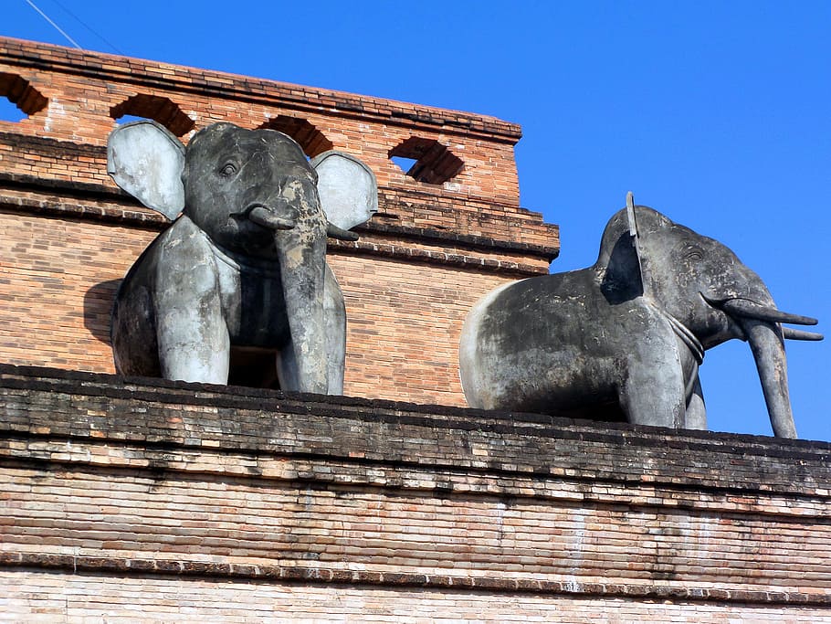 sagrado, esculturas de elefante budista, templo budista chedi luang, chiang, mai, tailândia, templo, wat, budista, budismo