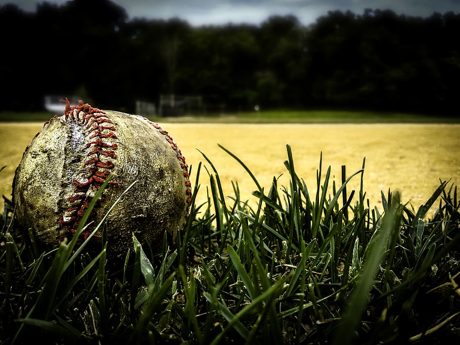 old baseball, baseball, field, game, grass, plant, sport, nature, green color, ball