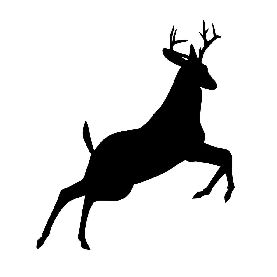 ciervo, saltando., silueta, blanco, fondo., saltando, animal, vida silvestre, reno, diseño
