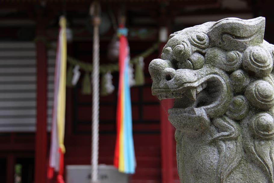 shrine, guardian dogs, japan, stone statues, sculpture, guardian lion-dog at shinto shrine, portable shrine, torii, history, shimenawa