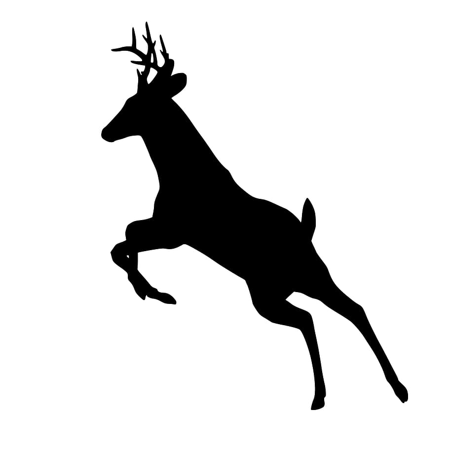 deer, jumping, silhouette, animal, leaping, wildlife, reindeer, design, buck, horned