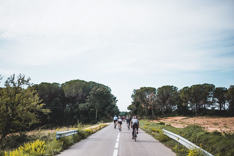 ciclistas, country road, carrera, aventura, verde, carretera, paisaje, luz, montaña, pase