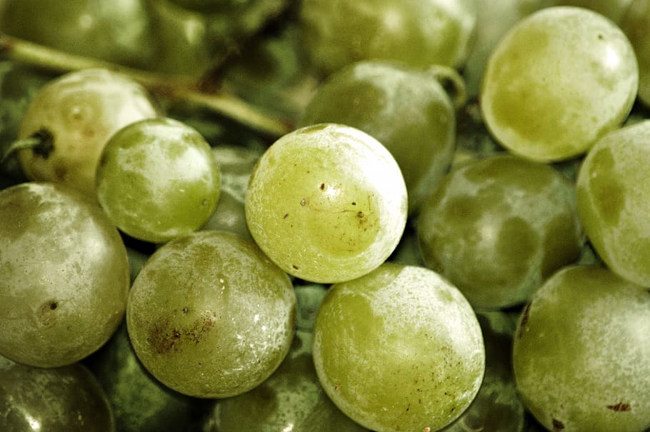 grapes, green, unwashed, dirty, fruit, grape, sweet, healthy, bio, nutrition