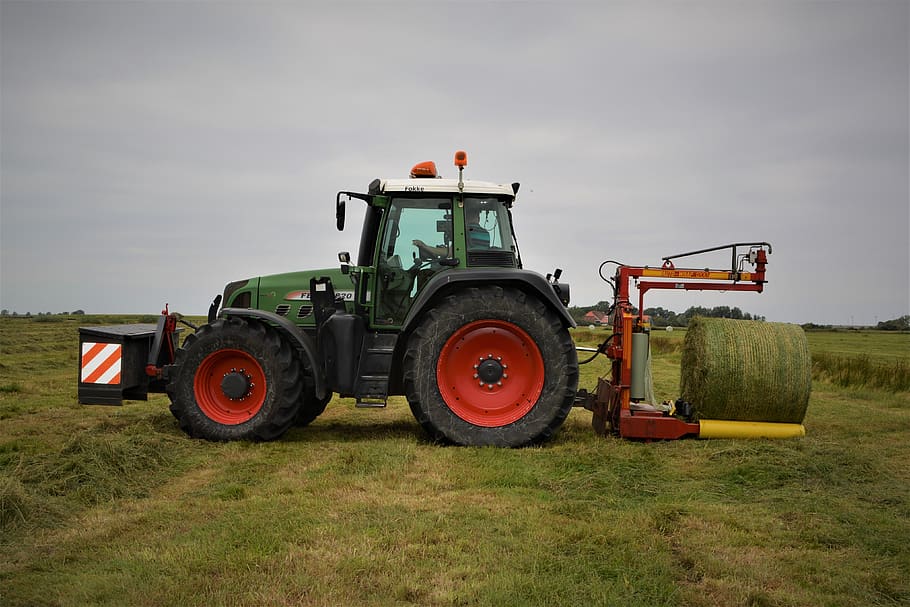 fendt, fendt 820, tractors, wage operating, nature, agriculture, cattle feed, working machine, rheiderland include a, harvester