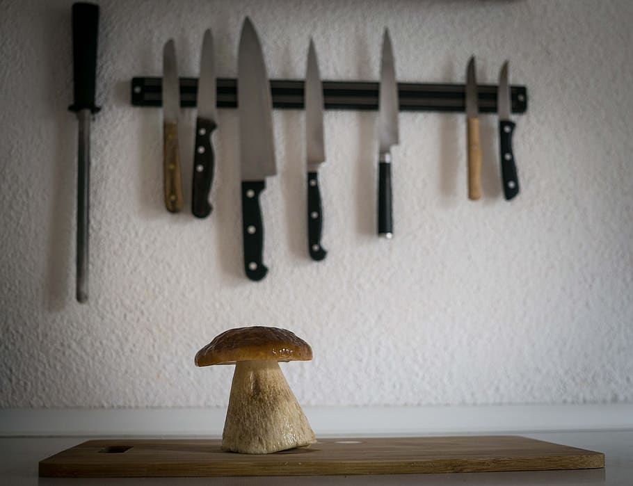 cook, mushroom, cep, herrenpilz, indoors, wood - material, still life, home interior, wall - building feature, hanging