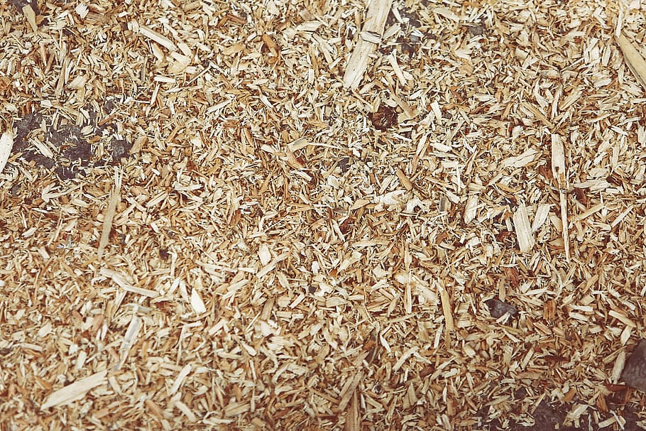 wood, shavings, textures, full frame, backgrounds, abundance, large group of objects, day, nature, dry