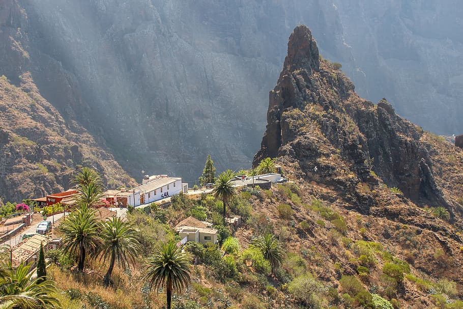 landscape, nature, tenerife, masca, mountains, palm trees, place, bergdorf, green, land