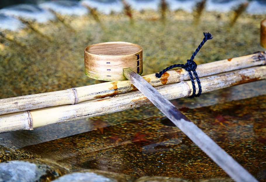 japan, kyoto, shinto, water, trowel, day, wood - material, nature, metal, focus on foreground