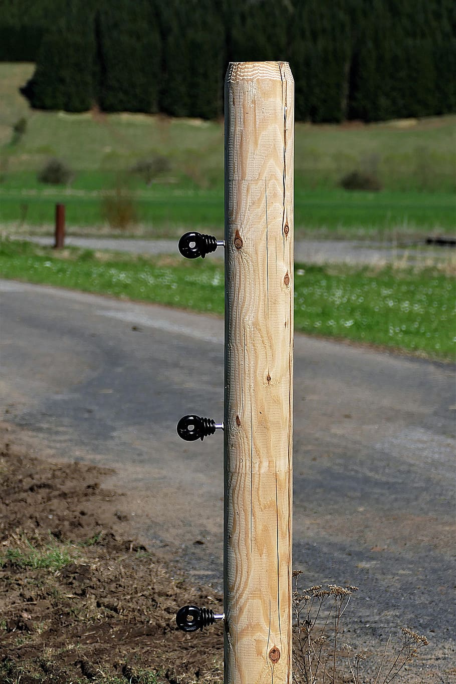 wooden posts, fence, insulators, pasture fence, pile, fence post, wood, limit, demarcation, focus on foreground