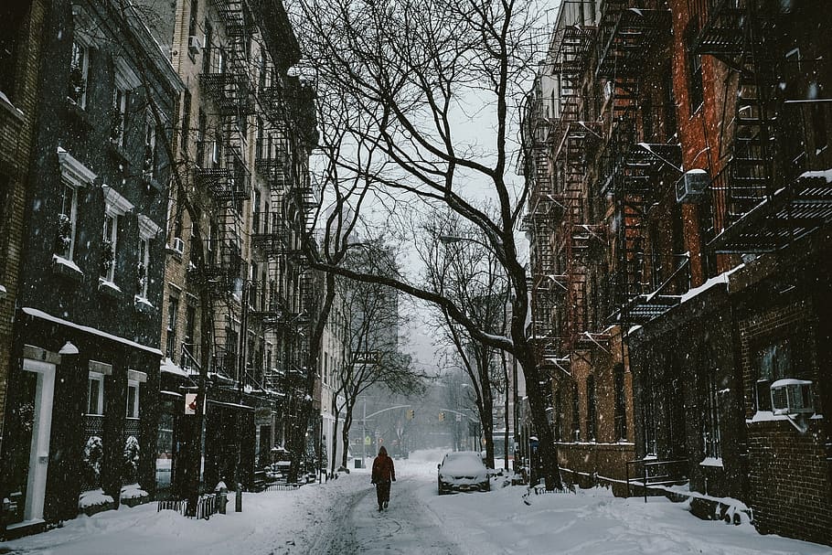 calle, persona, caminar, nieve, invierno, frío, hielo, clima, árbol, congelado