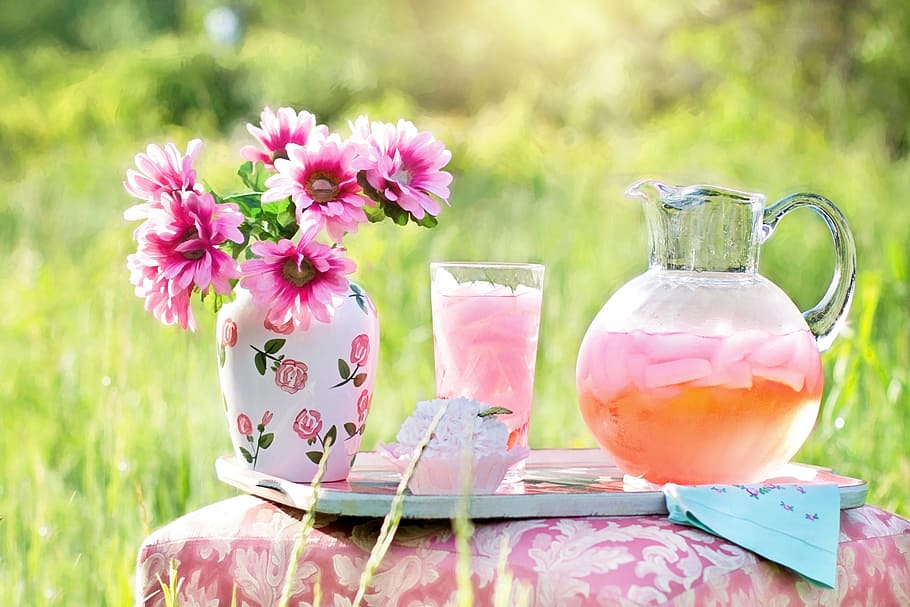 lemonade, lemon, pink, drink, fresh, nature, flower, blooming, pot, outside