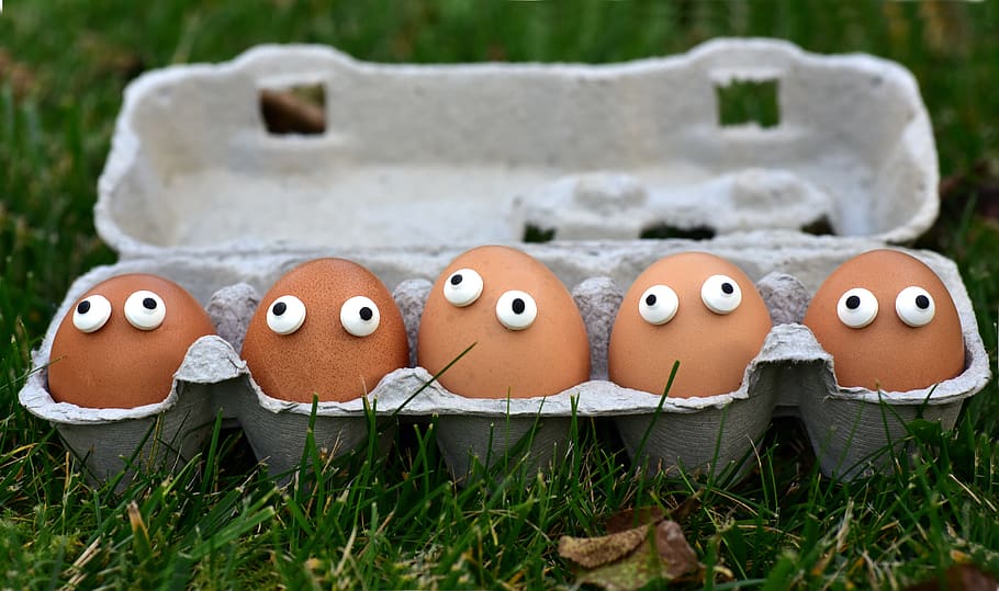 egg, egg box, egg carton, eggs heads, funny, sweating, society, eyes, curious, food