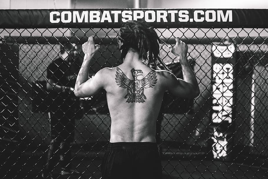 mma fighter, people, fight, fighting, martial Arts, mMA, tattoo, tattoos, rear view, fence