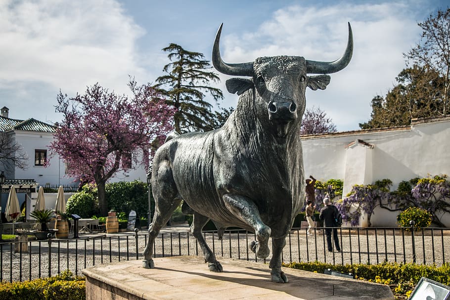 toro, round, andalusia, tourism, spain, animal, art and craft, animal themes, sculpture, plant