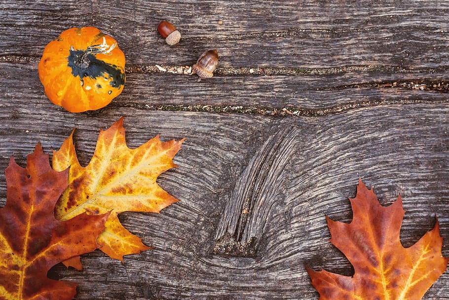 autumn, leaves, pumpkins, old, wooden, background, orange color, wood - material, leaf, plant part