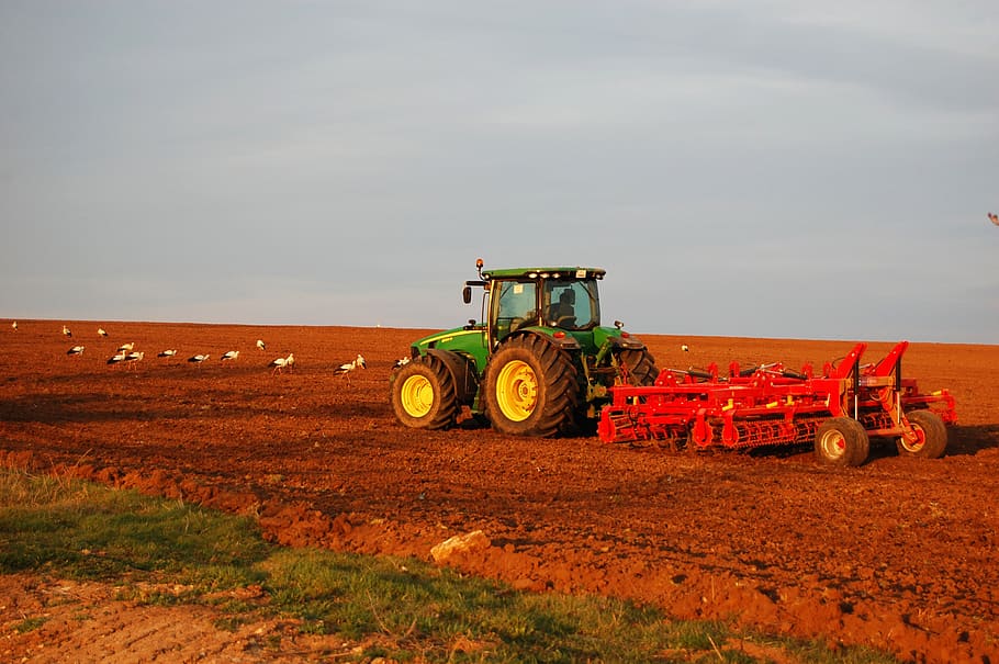 tractor, plowing, field, storks, agricultural, farmer, agriculture, husbandman, processing, soil