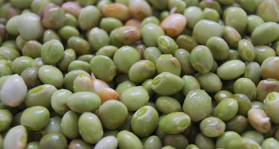 pigeon peas, pigeon peas green, green peas, natural, food and drink, food, green color, abundance, healthy eating, freshness